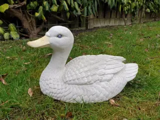 Tuinbeeld van een eend , beton