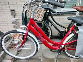 Moedersfiets BSP ...... Seine evolution