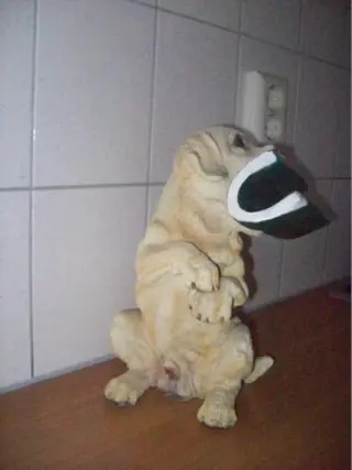 Labrador/ Retriever Kranten/tijdschriften hond 35 cm