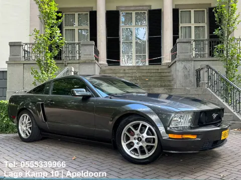 Ford USA Mustang 4.0 GT 500 SHELBY LOOK SVT VELGEN Achter Spoiler Airco Unieke Auto