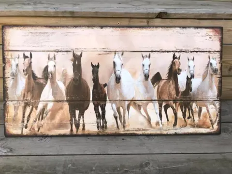 Muurdecoratie paarden , paarden plaat / bord , kado