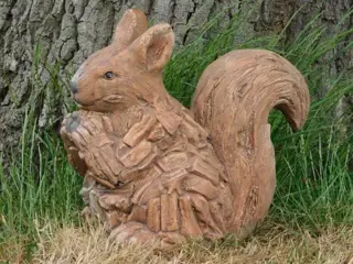 Eekhoorn , hout look , tuinbeeld