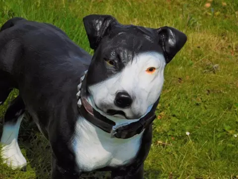 Pitbul ,hond , kado