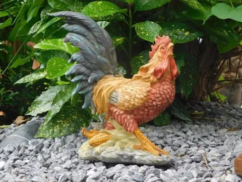 Haan, tuinbeeld haan