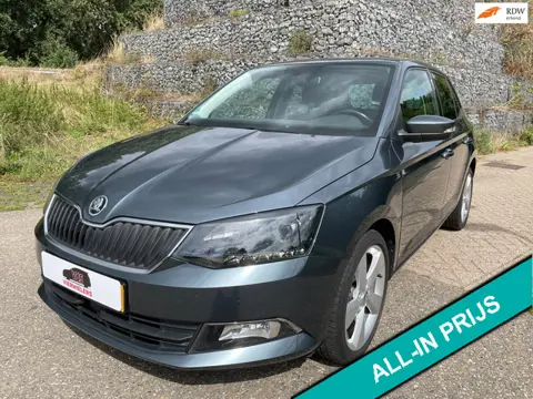 Skoda FABIA 1.0 TSI Style Apple Carplay Stoelverwarming Cruise Controle
