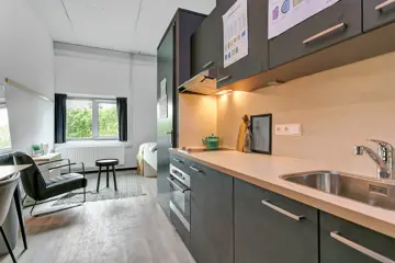 Woning aan de Van Embdenstraat te Delft