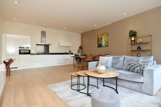 Woning aan de Bagijnestraat te Den Haag