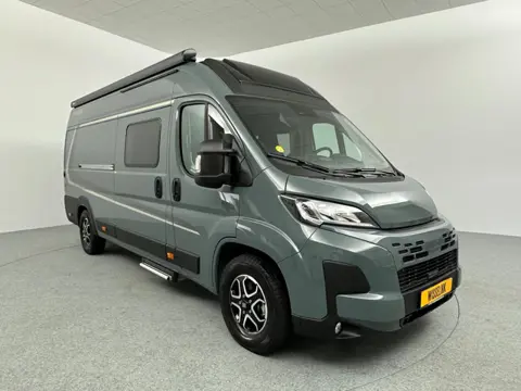 Weinsberg Carabus Grey Edition (FIRE) Cassetteluifel