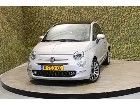 Fiat 500 1.0 Hybr. Star | Pink | Carplay | Cruise | PDC