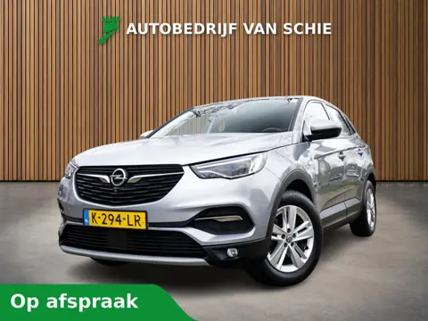 Opel Grandland X 1.2 Turbo Business Elegance 1e-Eig. & Keurig-Onderh. BOVAG-Garantie. NL-Auto