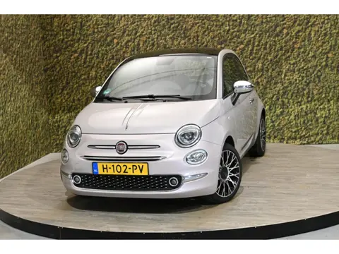 Fiat 500 1.0 Hybr. Star | Pink | Carplay | Cruise | PDC