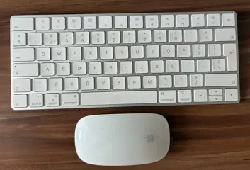 Apple Magic Keyboard toetsenbord (Qwerty) met muis (Lighting)