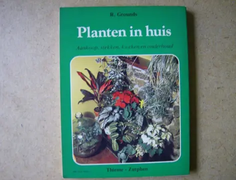 Planten in huis adv6779