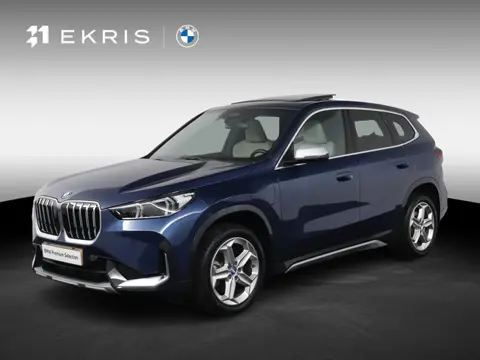 BMW X1 xDrive25e Panoramadak | Trekhaak | Stoelverwarming | Stuurverwarming