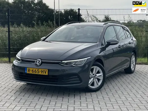 Volkswagen Golf Variant 1.0 TSI Life | Carplay | PDC | ACC | Bluetooth |