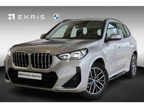 BMW X1 xDrive25e | M Sport | Driving Assistant Plus | Achteruitrijcamera | Stoelverwarming
