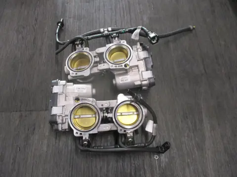 GASKLEPHUIS Aprilia Tuono V4 2017 - 2018