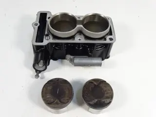 CILINDERBLOK Kawasaki Ninja 300 2013 - 2017