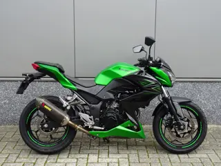 Kawasaki Z 300 ABS (bj 2017)