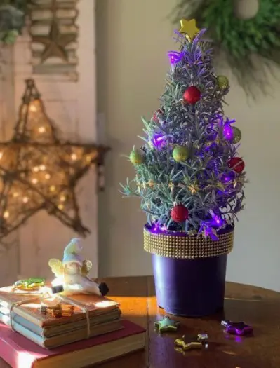 Lavendel kerstboom kopen!