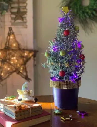 Lavendel kerstboom kopen!