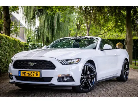 Ford Mustang Convertible 2.3 EcoBoost Stoelventilatie Shaker Audio NL Auto