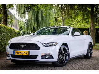 Ford Mustang Convertible 2.3 EcoBoost Stoelventilatie Shaker Audio NL Auto