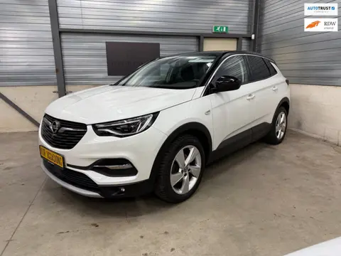 Opel Grandland X 1.2 Turbo Innovation 1ste eignr riem vervangen