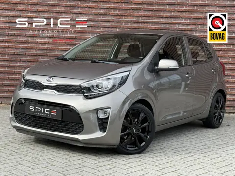 Kia Picanto 1.0 CVVT First Edition Carplay Camera Airco 67dkm!