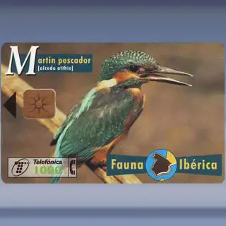 IJsvogel (1998)