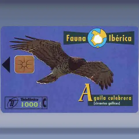 Adelaar (1998)