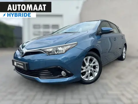 Toyota Auris 1.8 Hybrid Lease Camera / 4-Seizoenenband / Lmv / Cruise control