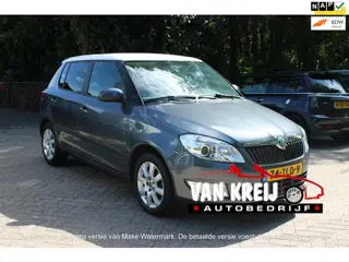 Skoda Fabia 1.2 TSI Ambition, Airco, Cv, Nap