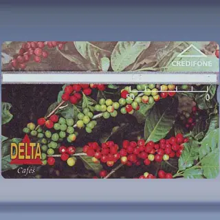 Delta Cafes (1995)