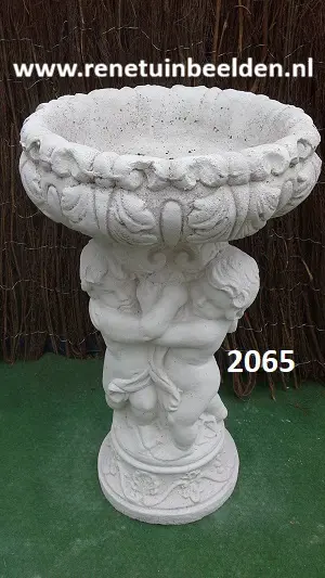 Gruppo carpi plantenbak. nr 2065.
