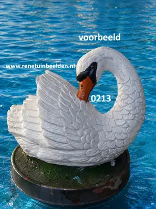 Witte Zwaan. NR 0213