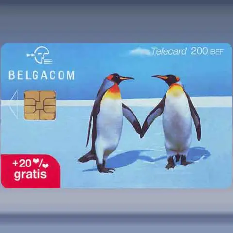 Pinguin (2001)