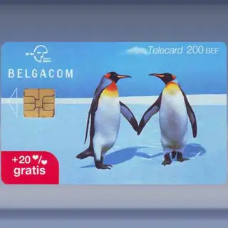 Pinguin (2001)