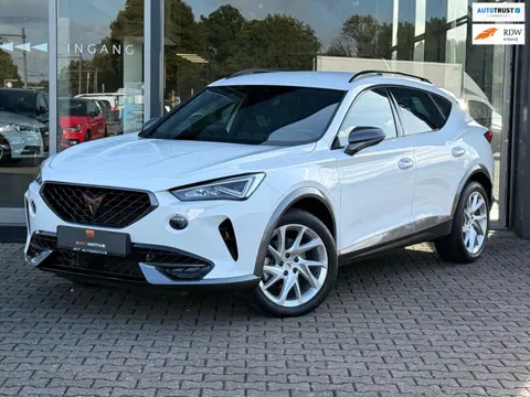 Cupra Formentor 1.4 e-Hybrid Business+ PHEV