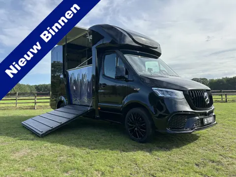 Mercedes-Benz Sprinter 317 AMG 2-paards paardenvrachtwagen B-rijbewijs