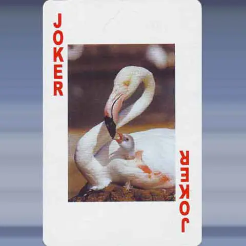 Joker 88