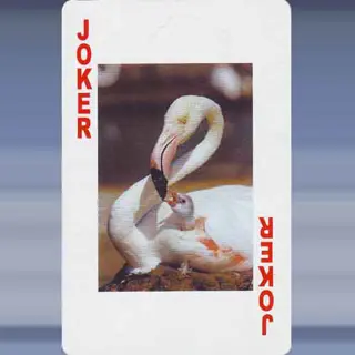 Joker 88