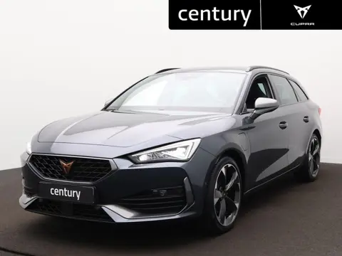 Cupra Leon 1.4 e-Hybrid Essential | Camera | ACC | Navi  |