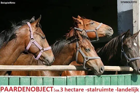 Lux woonpand met paarden aan huis op 3 hectare