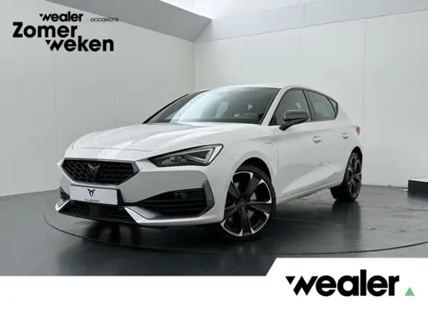 CUPRA Leon 1.4 e-Hybrid VZ Business | 245 PK | SoH 86% | Adaptive Cruise Control | Achteruitrijcamer