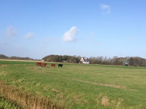 Kamer aan de rustige Waddenzee kant van Texel met uniek uitzicht