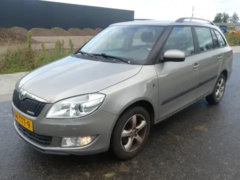 Skoda Fabia Combi 1.2 TDI - Storing DPF Roetfilter - EXPORT