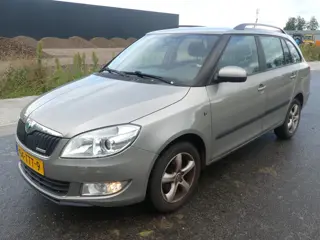 Skoda Fabia Combi 1.2 TDI - Storing DPF Roetfilter - EXPORT