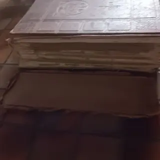 BIJBEL , 1618 - 1619 - de gansche heilige schrift