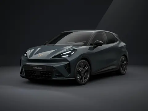 CUPRA Raval Performance 39 kWh €445,- private lease